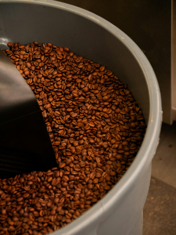 Light, Medium & Dark